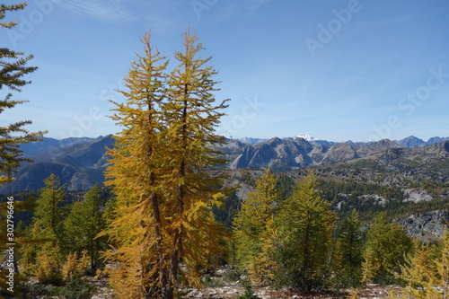 landscapes of the pacific northwest