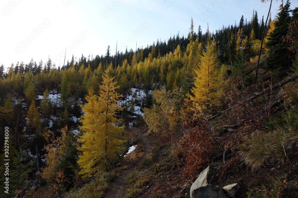 Landscapes of the Pacific Northwest Landscapes of the Pacific Northwest