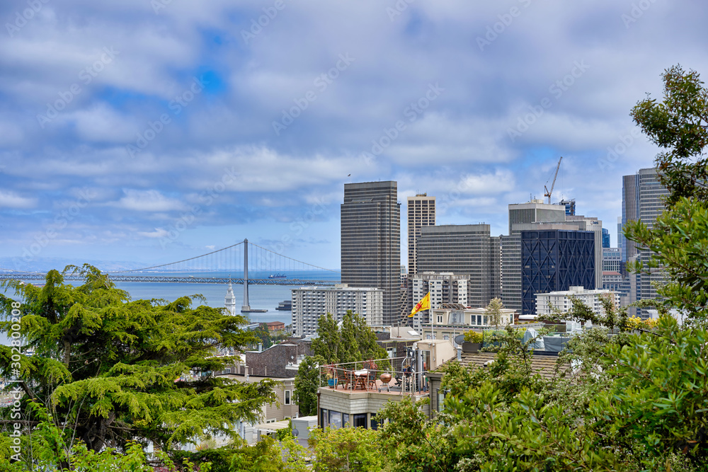 San Francisco, CA, USA - May 15, 2018: view of the beautiful urban landscape through the crowns of trees. Skyscraper towers, bridge.