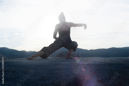 Tableau sur toile Classical Tai Chi Woman On Stone
