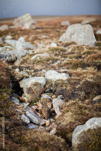 Detail of Ronas Hill soil, highest point of the Shetland Islands, rising 450 meters above sea level photo