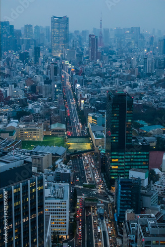 日本 東京 高層ビルのある風景 typical sight of Tokyo, Japan