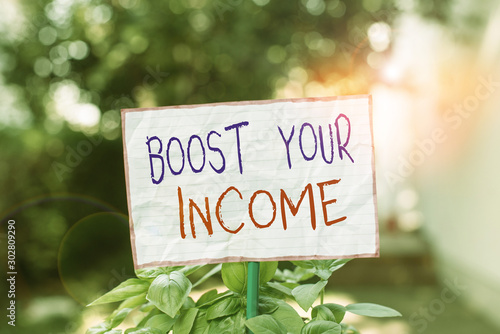Conceptual hand writing showing Boost Your Income. Concept meaning Increase your money Investment Freelancing Trading Plain paper attached to stick and placed in the grassy land © Artur