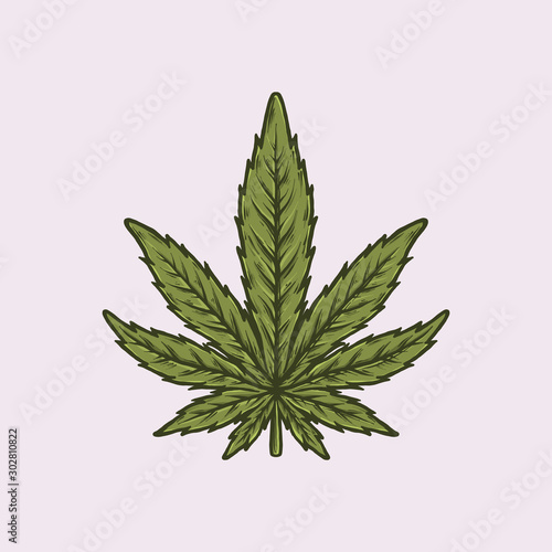Handdrawn vintage cannabis vector illustration