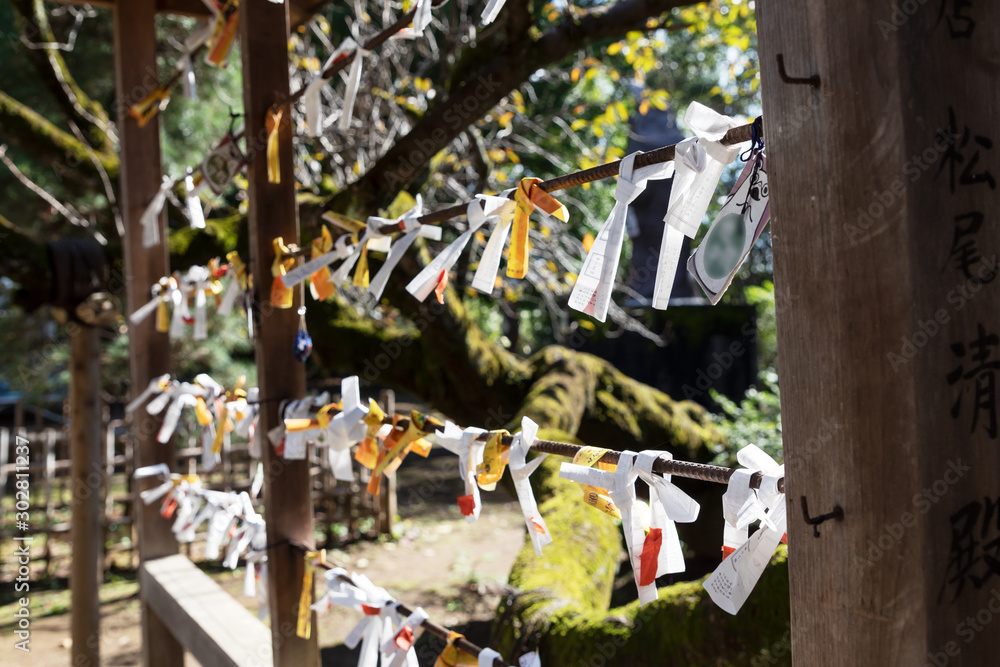 Fototapeta premium おみくじ 館林 茂林寺の風景