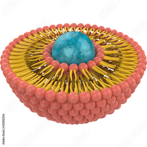 3D Liposome structure reder image