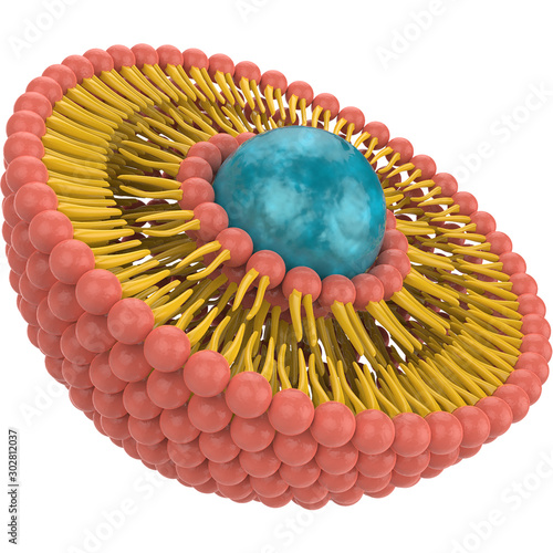 3D Liposome structure reder image