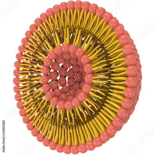 3D Liposome structure reder image