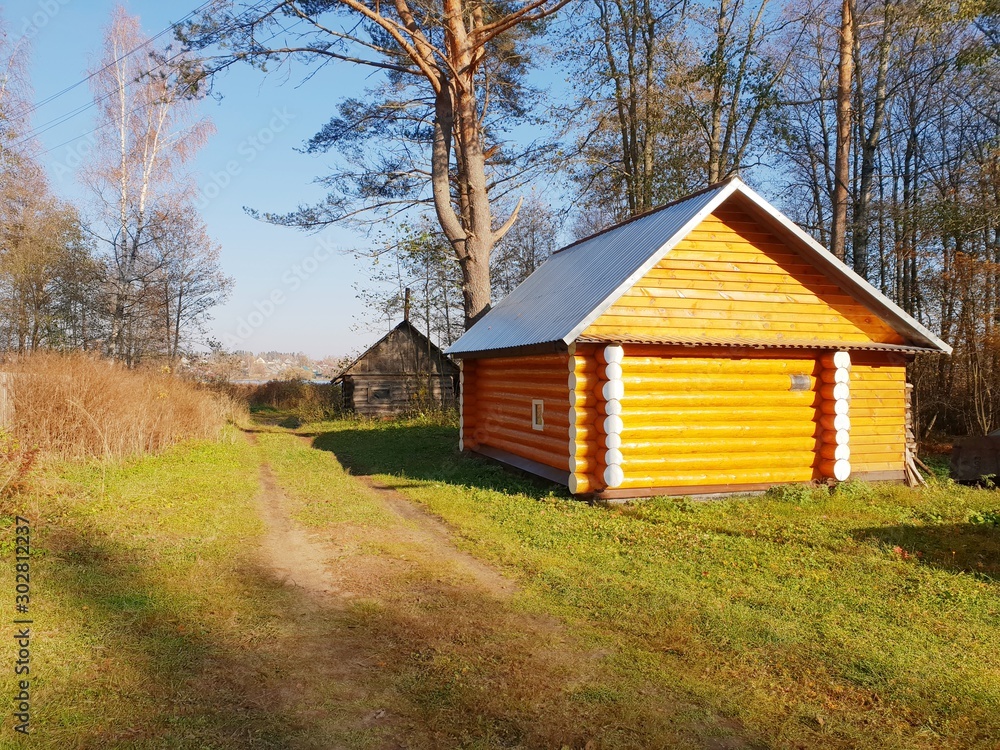Fototapeta premium old wooden house in the forest