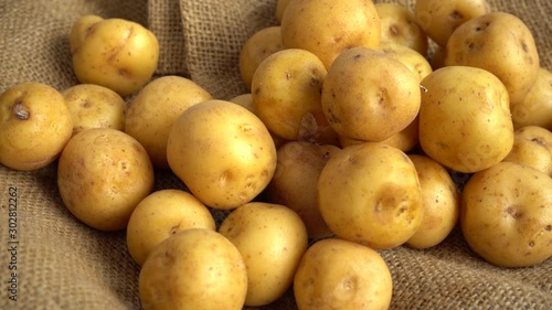 Close up view of yellow potatoes rotating on a jute mat