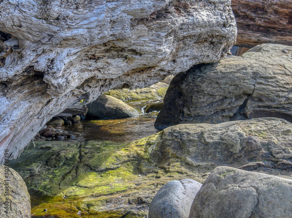 Fototapeta premium Tidal Pool In The Rocks
