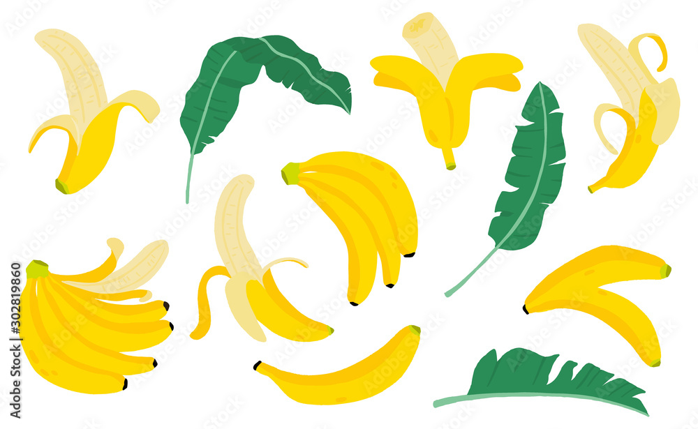 Cute banana fruit object collection.Whole, cut in half, sliced on pieces banana. Vector illustration for icon,logo,sticker,printable Cute banana fruit object collection.Whole, cut in half, sliced on pieces banana. Vector illustration for icon,logo,sticker,printable