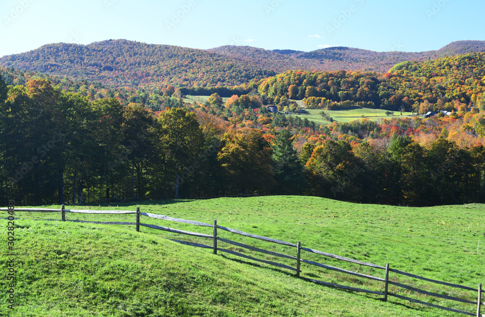 autumn mountain forest and pasture