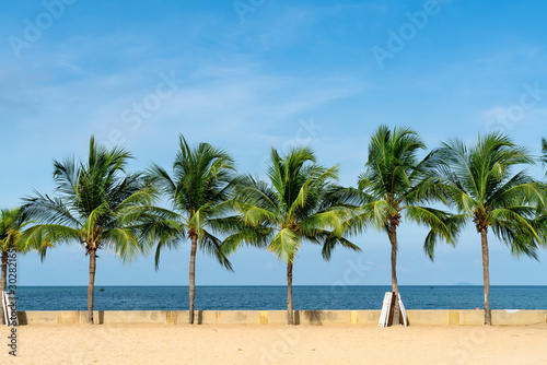 summer sea with coconut tree row ,beautiful tropical background for travel landscape