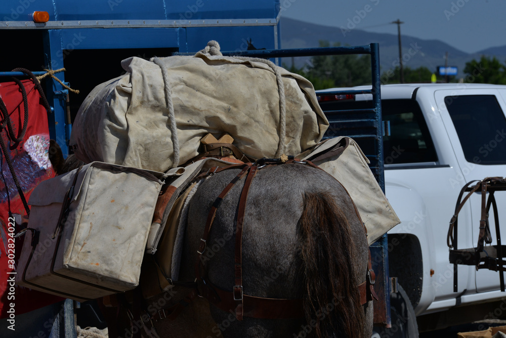 A pack horse loaded up to take to the hills.