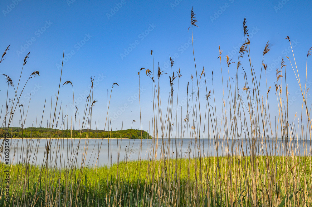 Obraz premium Großer Jasmunder Bodden, Lietzow, Insel Rügen