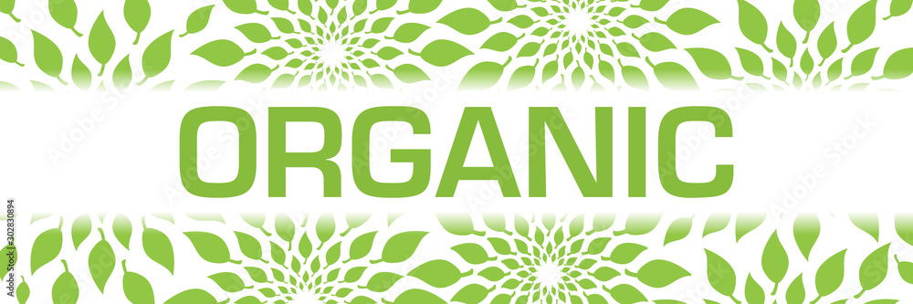Organic Green Leaves Background Texture Horizontal Organic Green Leaves Background Texture Horizontal