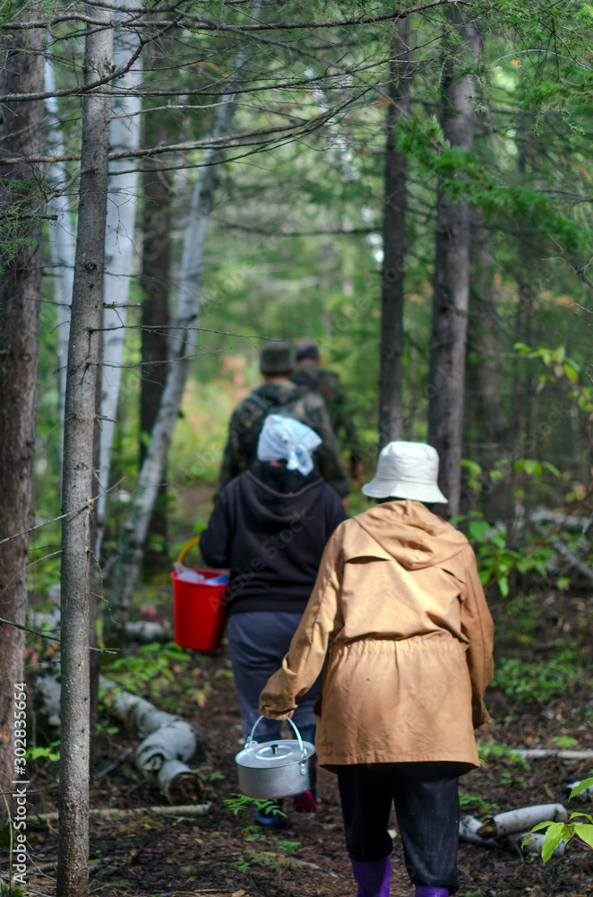 Women and men with pots and buckets are on the trail of the dense Northern forest of Yakutia.