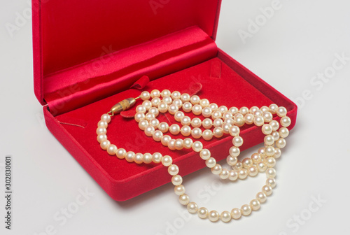 Pearl necklace in red velvet jewelry box placed on white background.