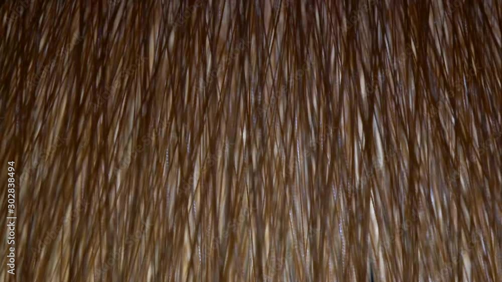 Closeup Motion Of Cotton Textile On A Weaving Machine. Closeup Motion Of Cotton Textile On A Weaving Machine.