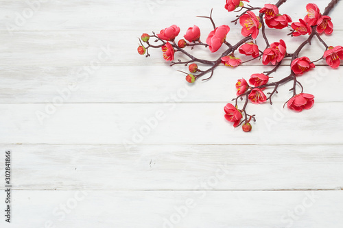 Plum Flowers Blossom on white wood plank