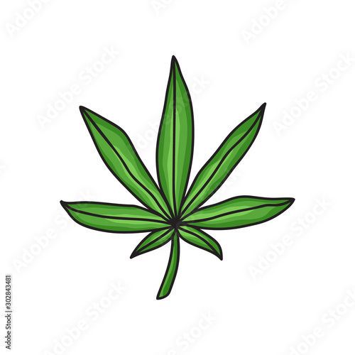 Green marijuana icon. Cannabis leaf for logo and design for medicine. Hand drawn cartoon illustration. Isolated vector sign in doodle style on white background