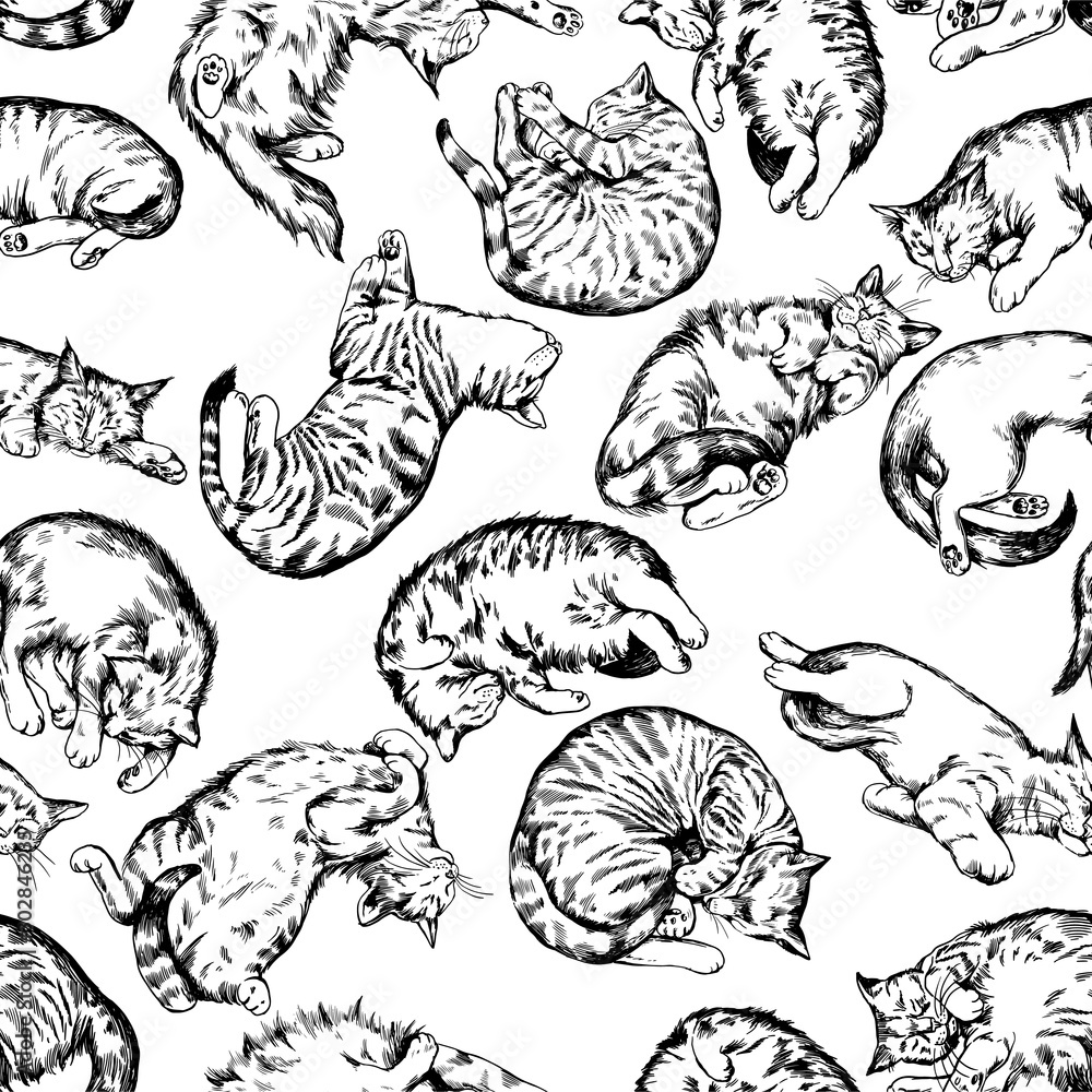 Vintage vector black and white hand drawn seamless background with lying cats. 