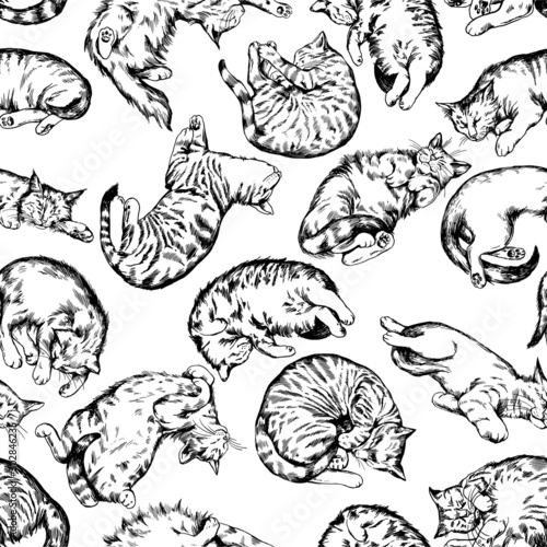 Vintage vector black and white hand drawn seamless background with lying cats. 