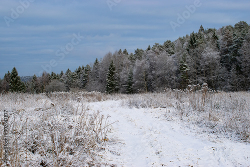 winter landscape with trees and snow