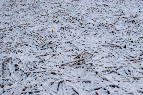 abstract background of frozen grass