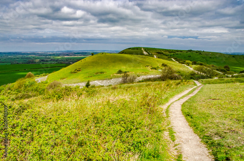 Wallpaper Mural Trail to Ivinghoe Beacon Chiltern Hills Buckinghamshire England UK Torontodigital.ca