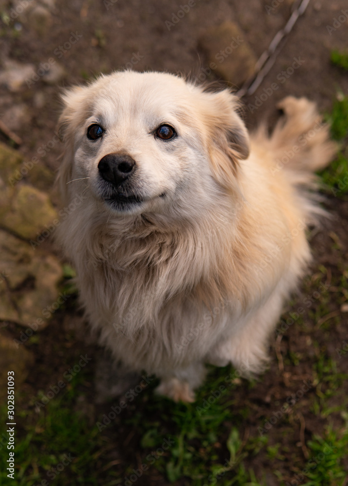 adorable portrait of amazing healthy and happy adult