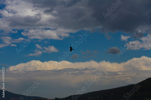 Beautiful Background for design.Big eagle flying over the river on a blurred background of mountains