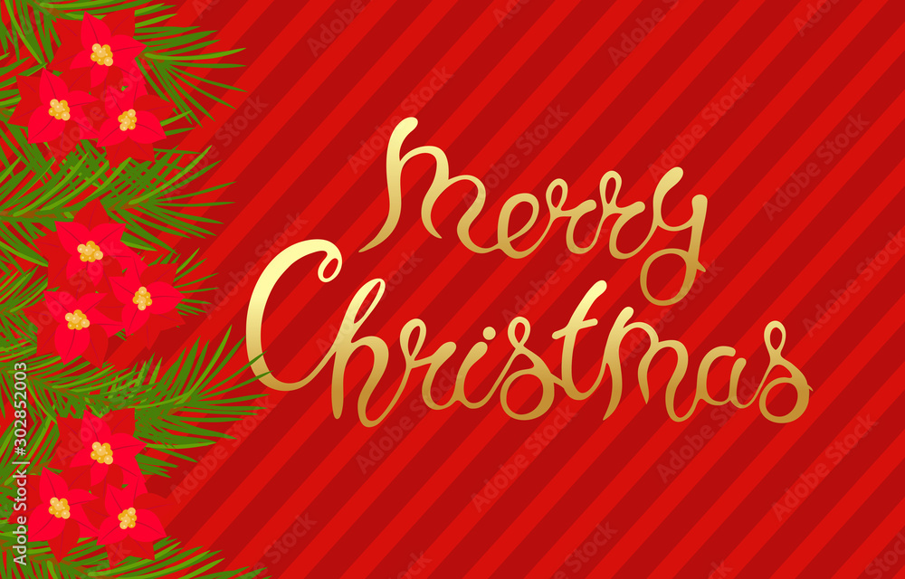 Merry Christmas template with fir branches, Holly and lettering for holiday card, banner, poster, vector illustration.