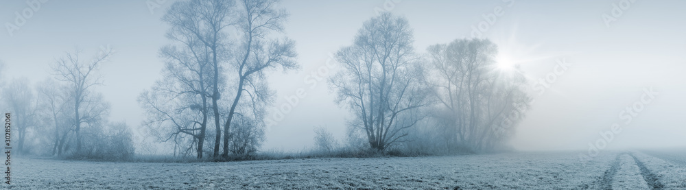 Panorama Breitbild einer Naturlandschaft bei leicher Morgensonne und starkem Nebel - obrazy, fototapety, plakaty 