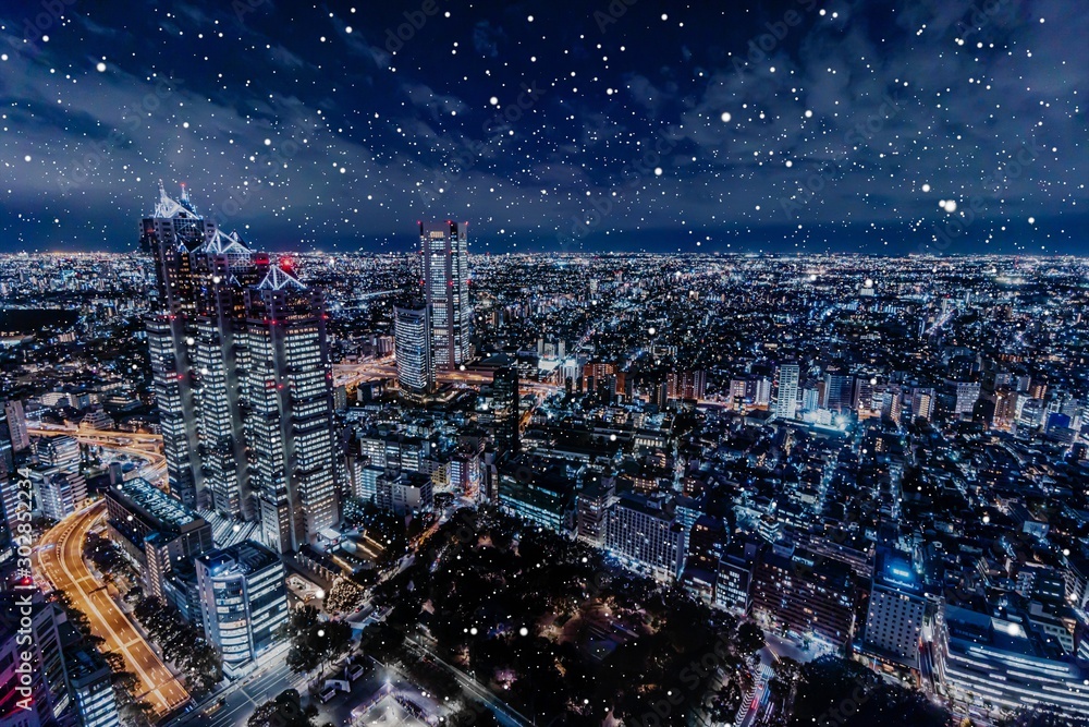 Obraz premium 雪が降る新宿の夜景イメージ（合成）