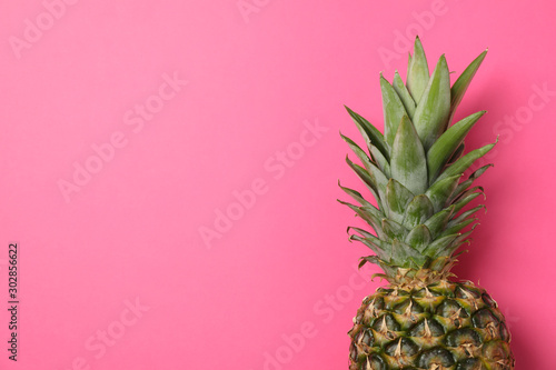 Pineapple on pink background, space for text. Juicy fruit