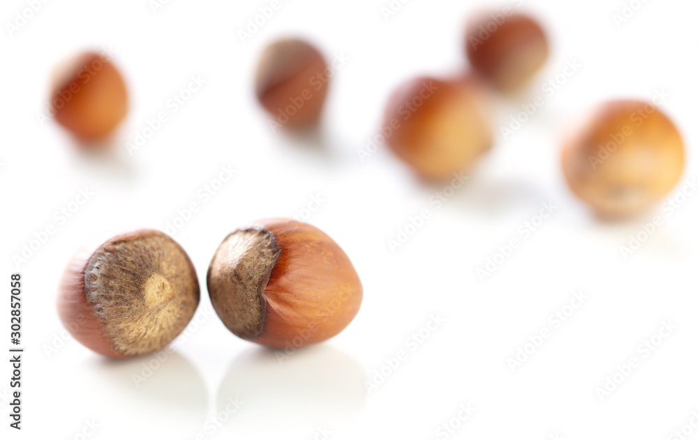 Hazelnuts nuts isolated on a white background Hazelnuts nuts isolated on a white background