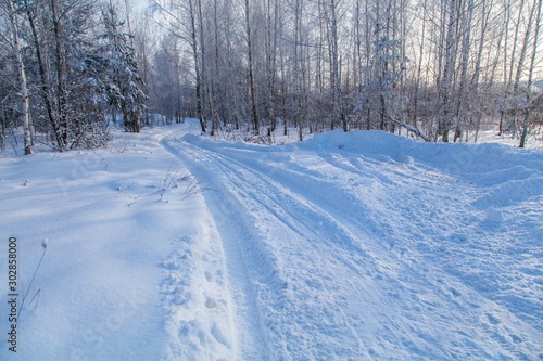 Road in the forest in the snow