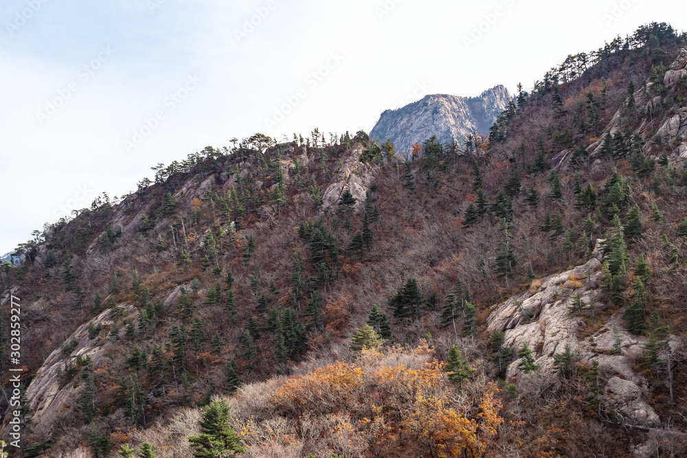 overgrown old mountain in Seoraksan National Park