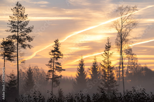 colorful misty sunrise over the forest with mist and light rays in fog 