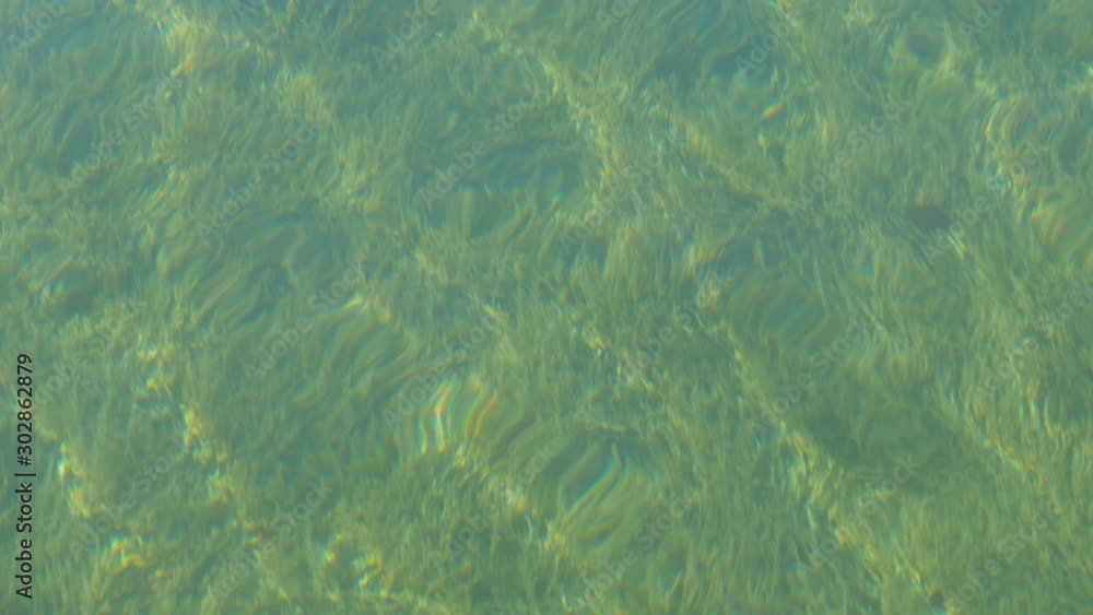 Transparent bottom with lots of green algae on Lake Tegernsee, Bavaria. Mountain lake with clear water in which the rays of the sun break