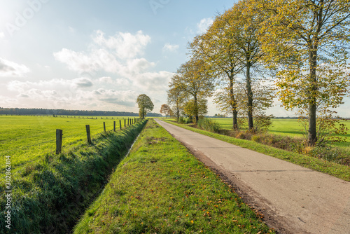 Φωτογραφία Country road in Belgium