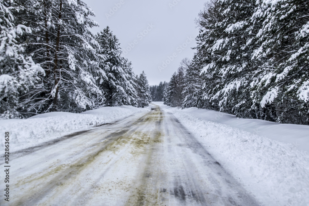 Obraz premium Winter forest trees in the snow cloudy sky snow covered road