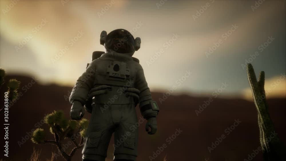 Astronauth in the high desert of Nevada Astronauth in the high desert of Nevada