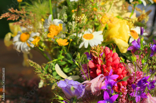 meadow flowers as very nice summer texture