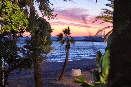 sunset in the beach with palms