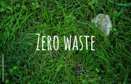 Zero waste. Green grass background photo