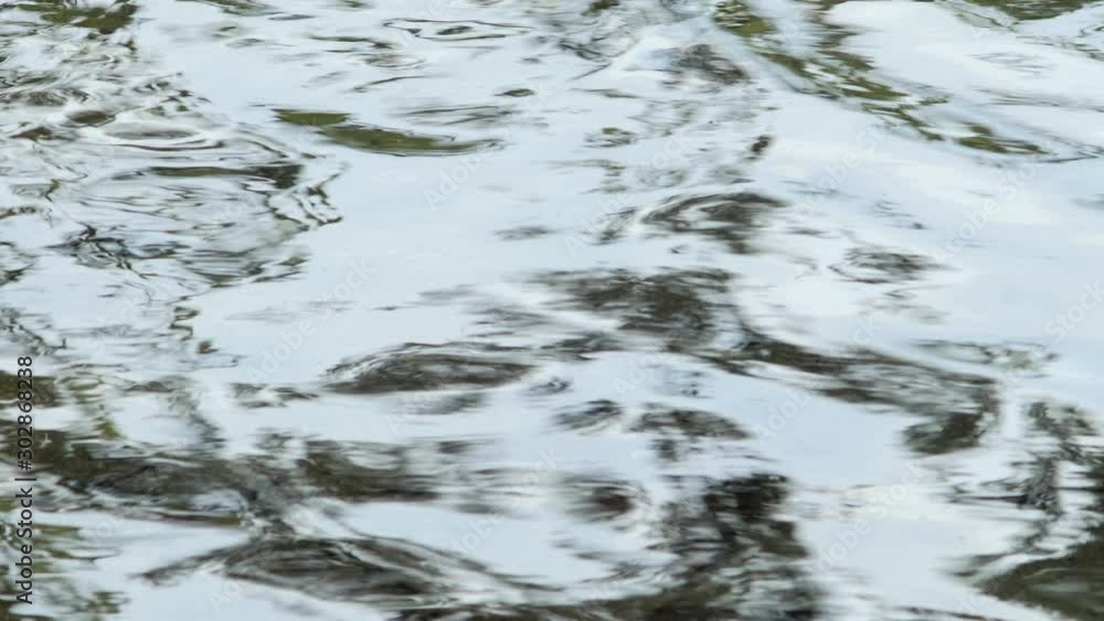Water surface of the lake in summer Water surface of the lake in summer
