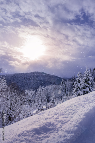 Snowfall and sunshine in mountain winter forest